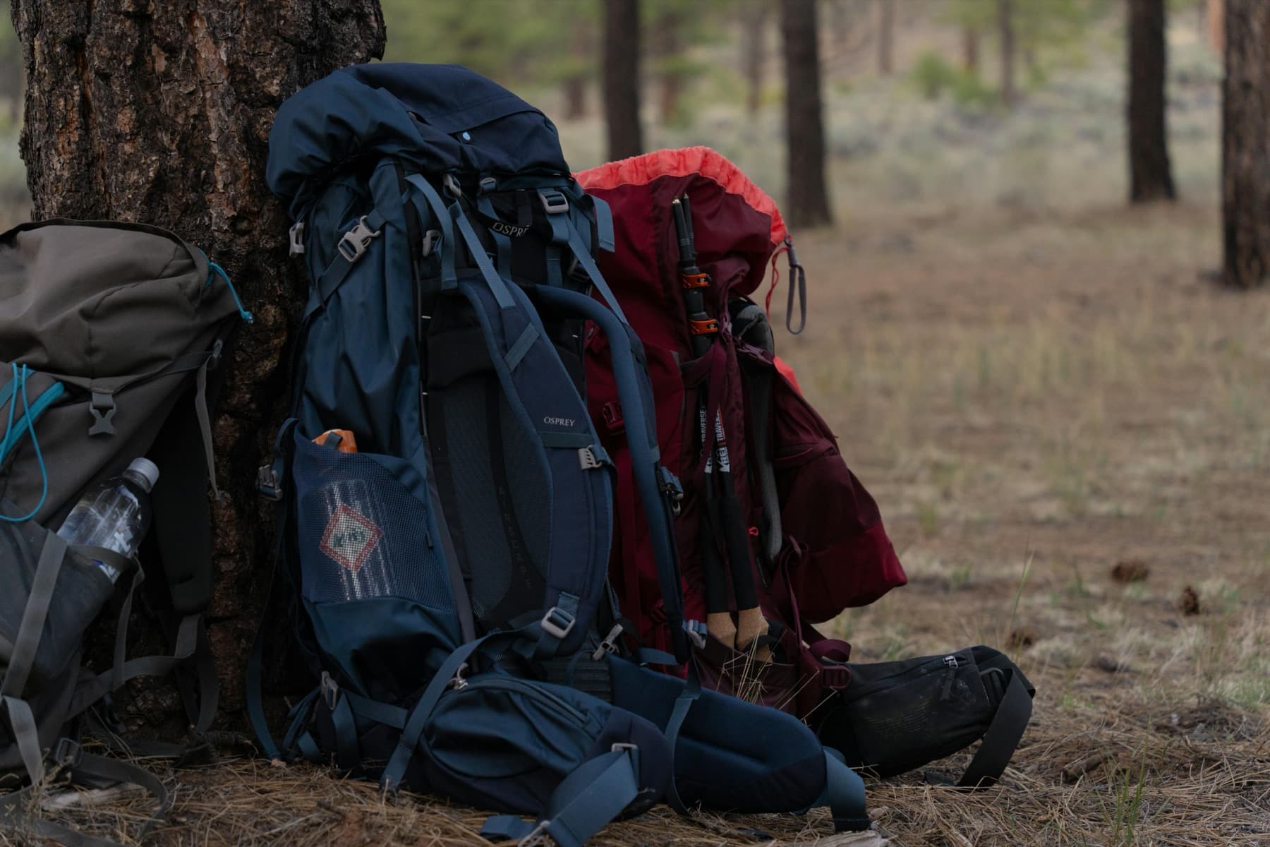 Backpacking pack and overnight gear staged in a Colorado forest campsite.