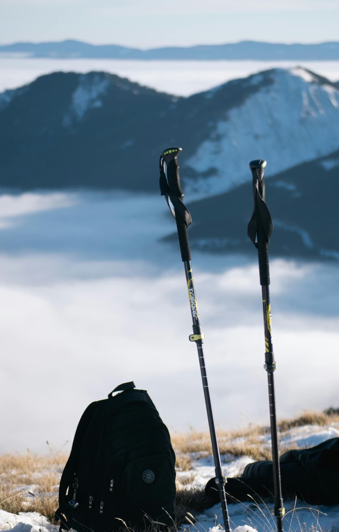Carbon Trekking Pole Set
