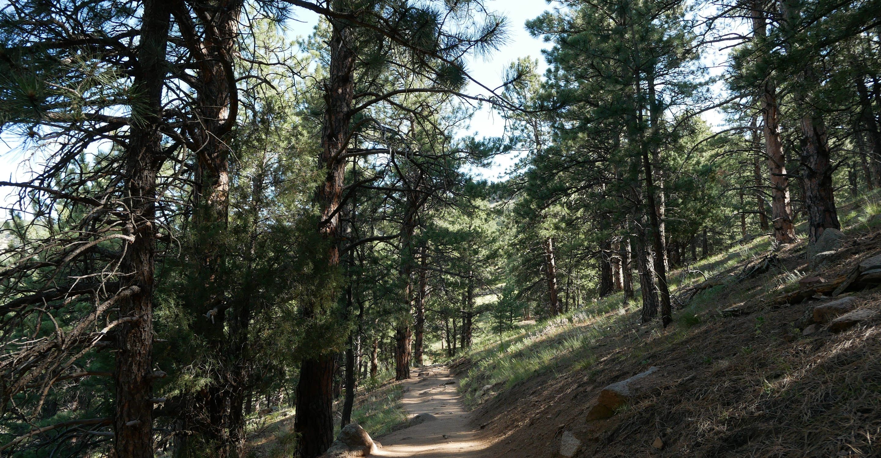 Bald Mountain (Pines to Peaks Loop), Bald Mountain Scenic Area (Boulder County Open Space)