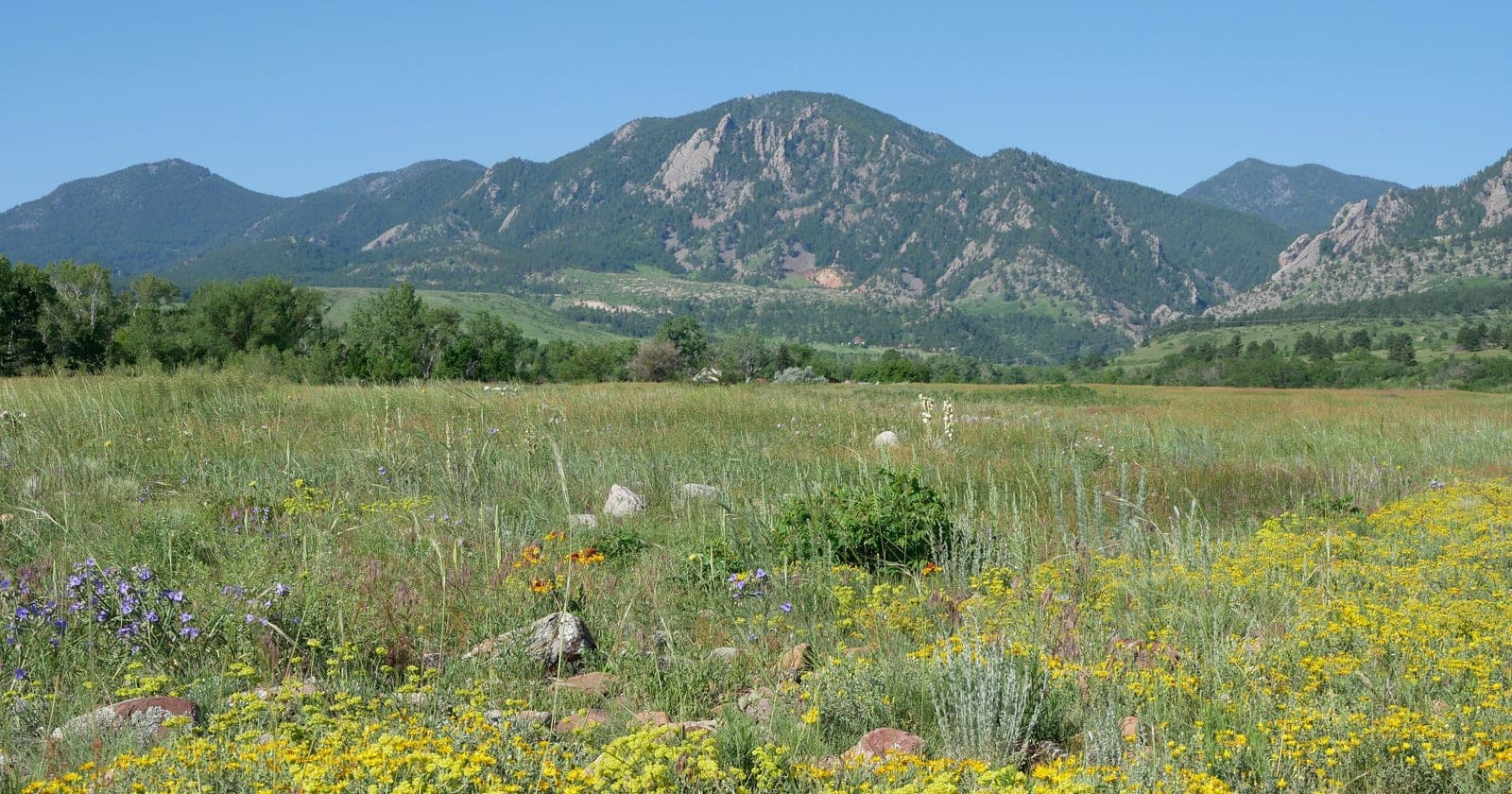 Bobolink / South Boulder Creek — Flat creek-side prairie walk — Boulder's easiest accessible trail