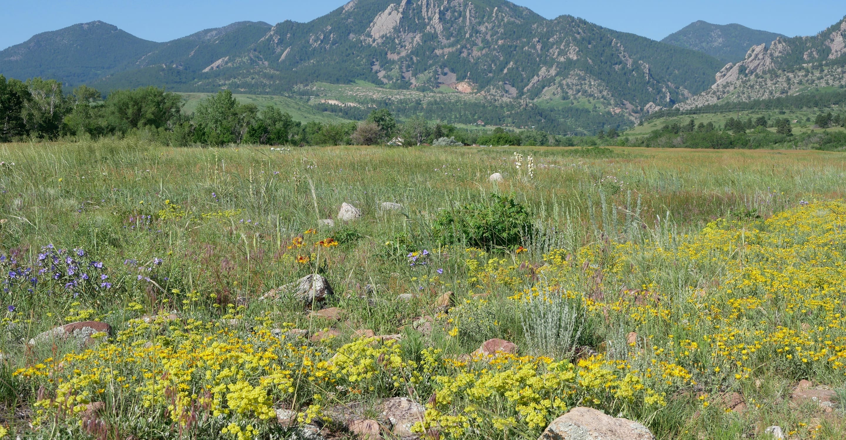 Bobolink / South Boulder Creek — Flat creek-side prairie walk, Boulder's easiest accessible trail