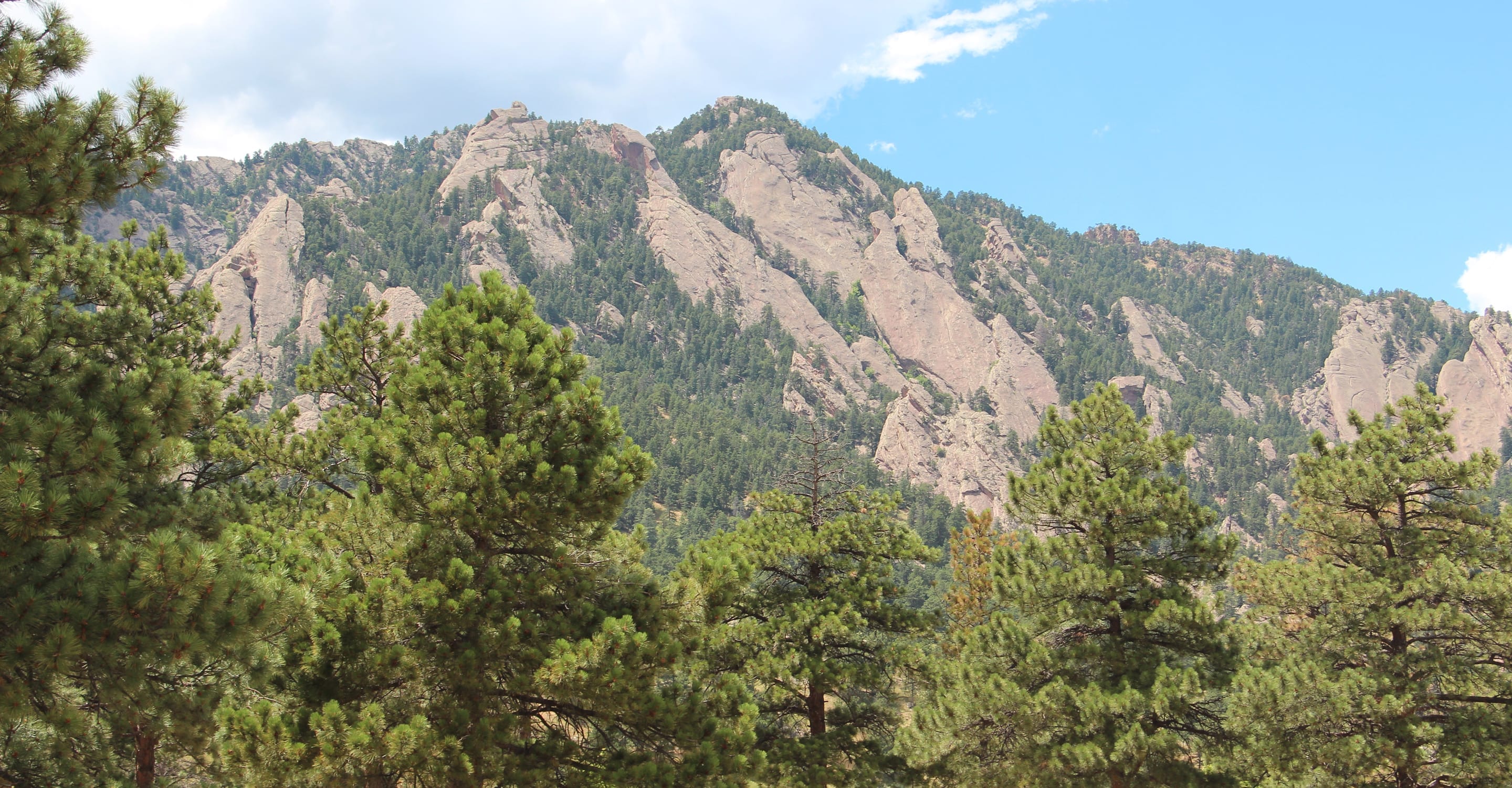 Green Mountain — The Skyline Traverse's central summit: 8,144 ft via Gregory Canyon