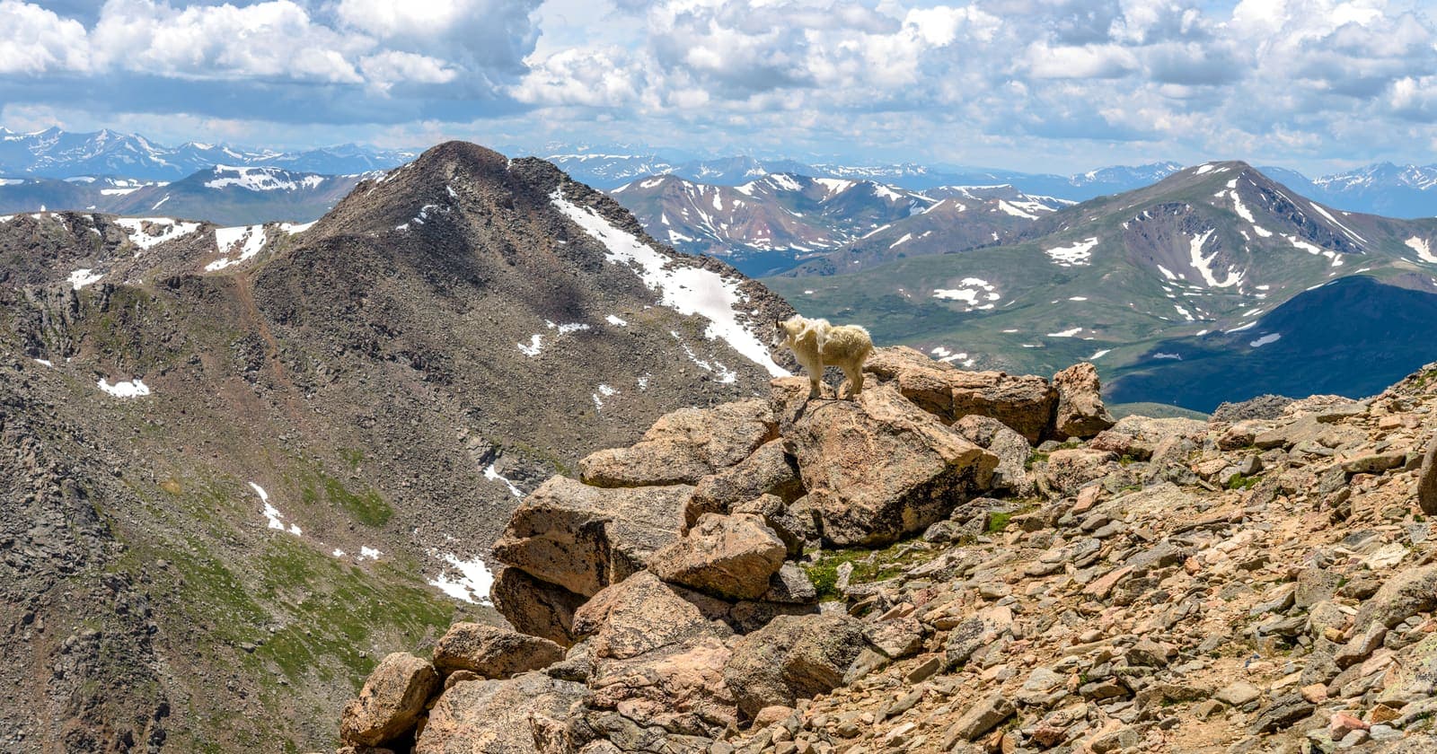 Mount Bierstadt — 7-mi 14er from Guanella Pass — 11,669 ft trailhead, willow bog at the base