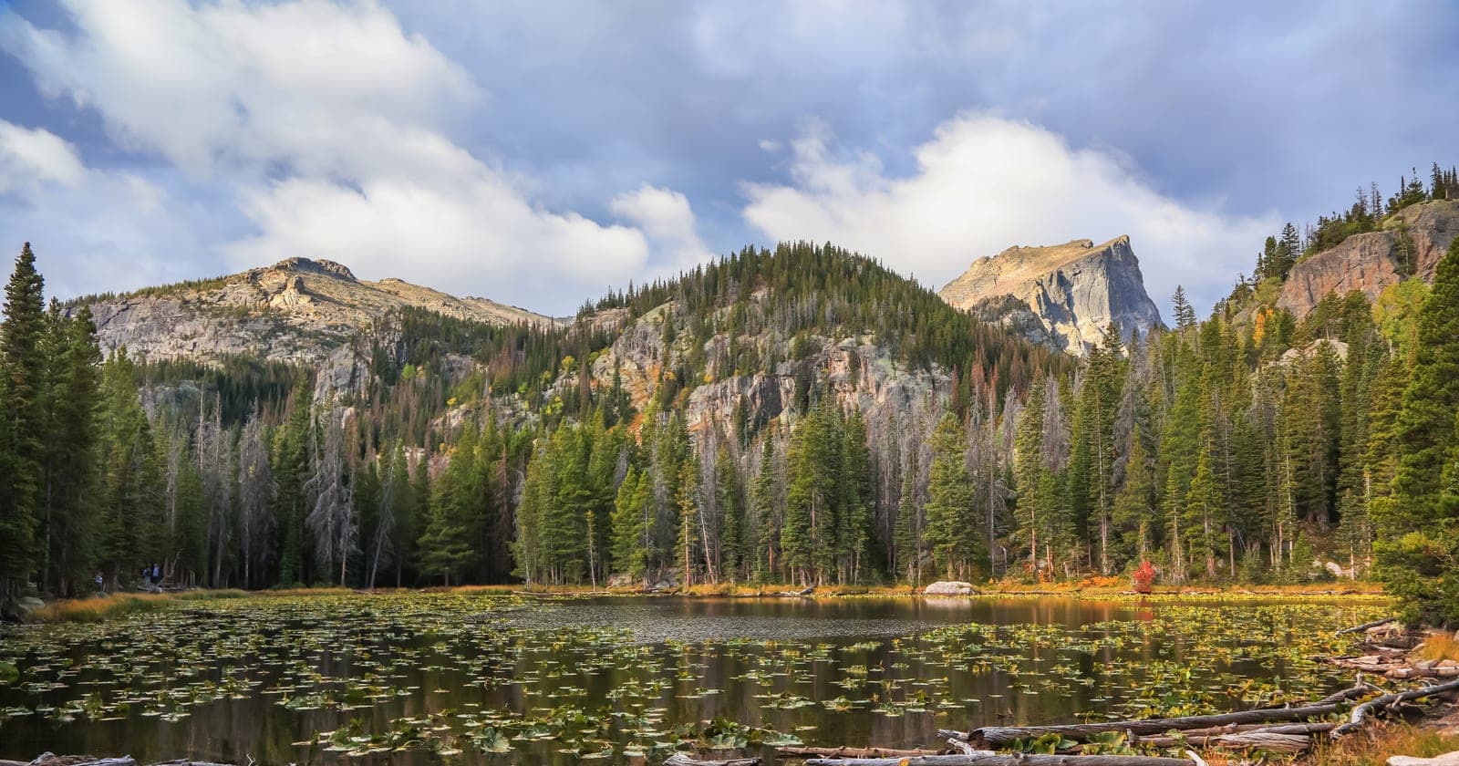 Nymph Lake — Lily-pad alpine lake — the first stop on the Bear Lake corridor
