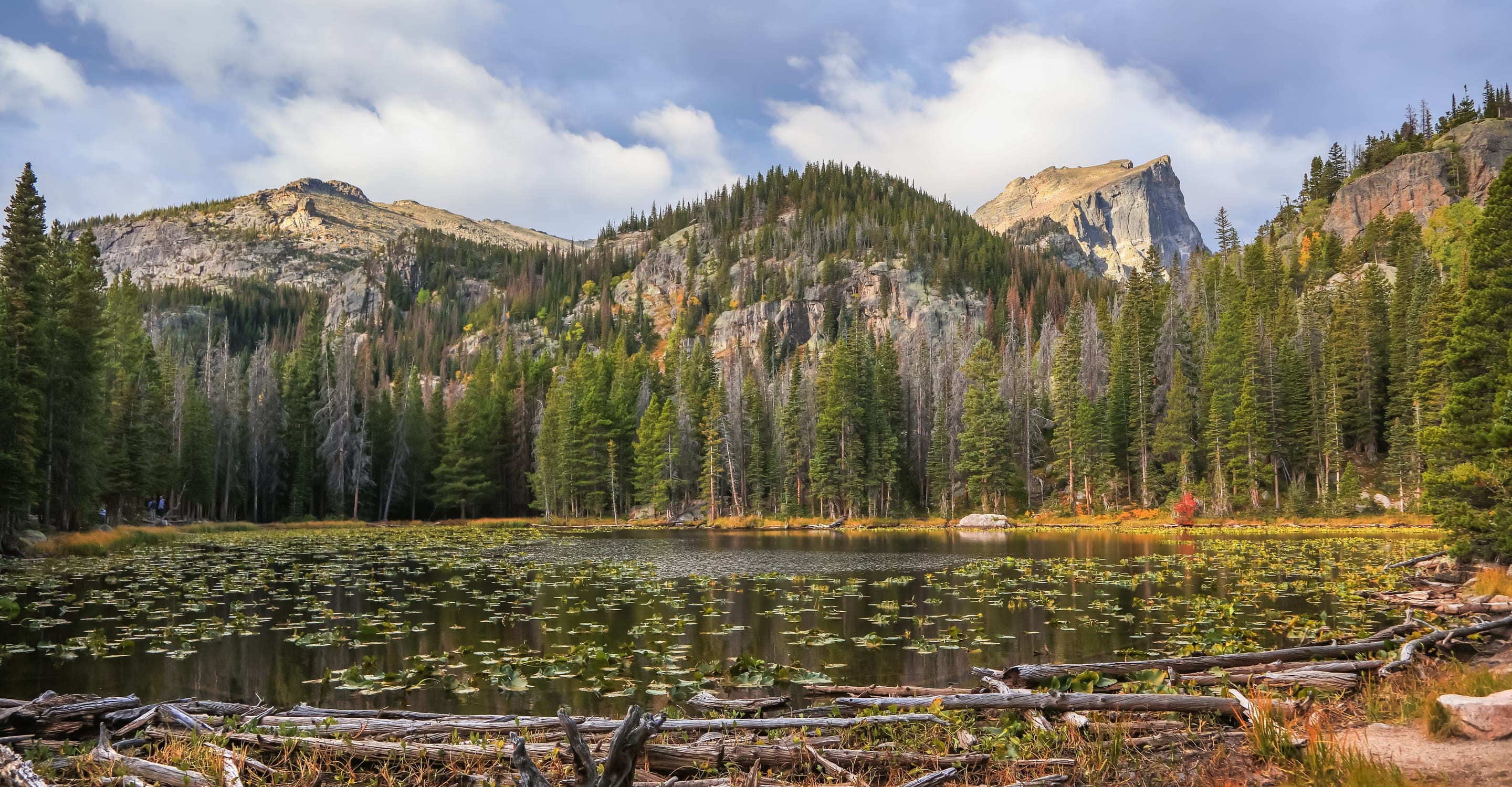 Nymph Lake, Rocky Mountain National Park