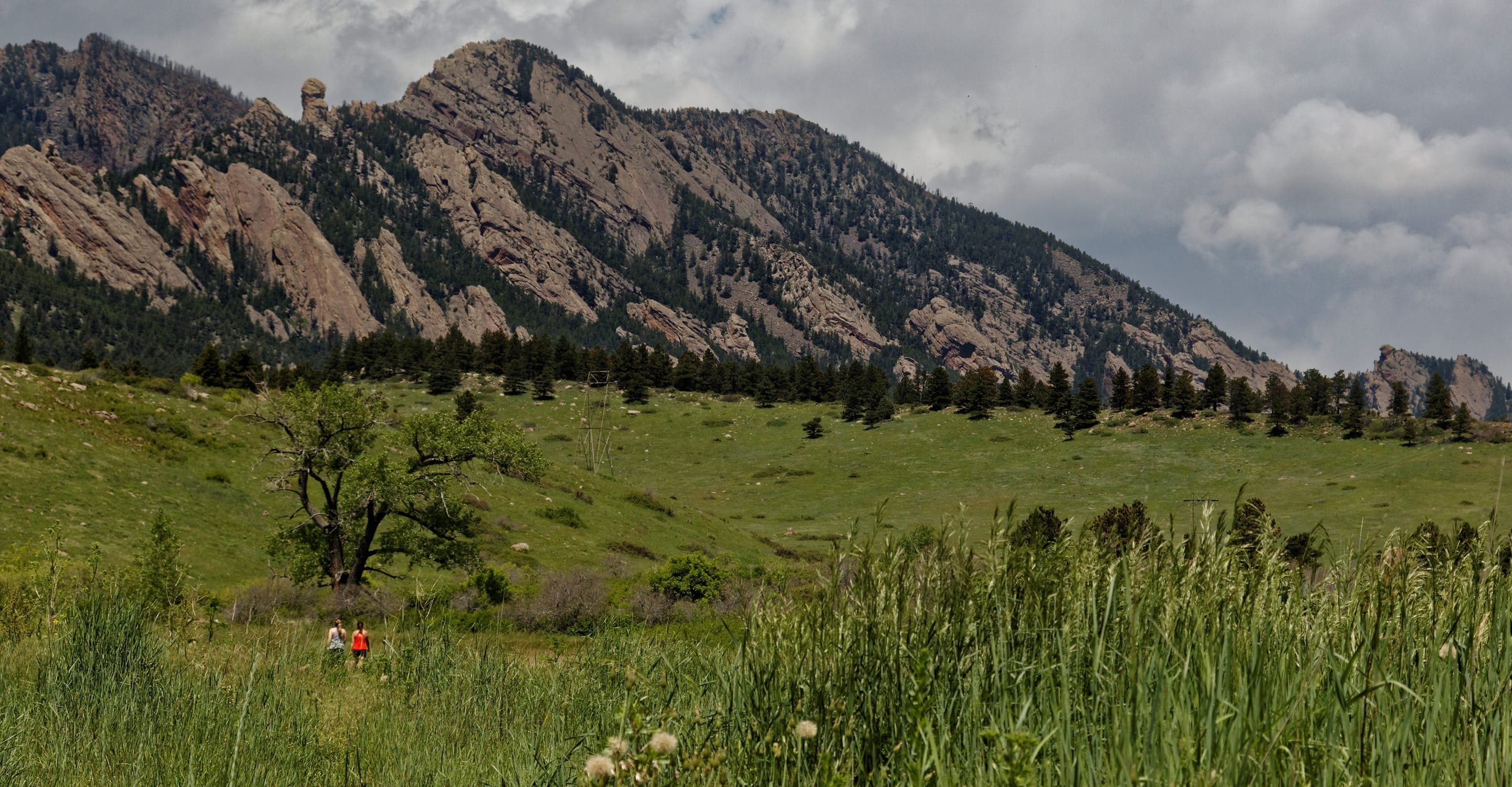 South Boulder Peak — Boulder OSMP's highest summit at 8,549 ft, 6.8 mi RT via Shadow Canyon